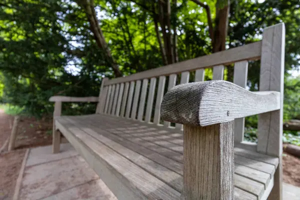 Bahçedeki ahşap bankta