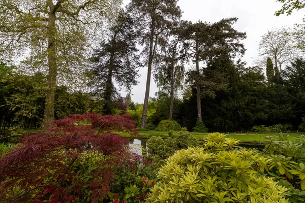 stock image flowers in the park in spring