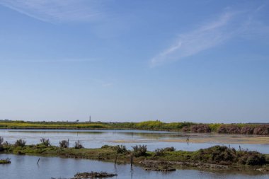 Kırsalda bir nehir manzarası