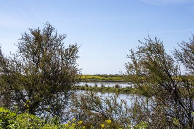 Kırsalda bir nehir manzarası