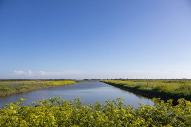 Nehir ve mavi gökyüzü manzarası