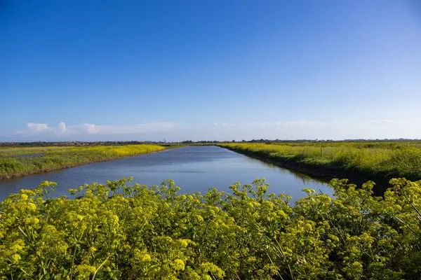Nehir ve mavi gökyüzü manzarası