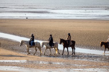 Sahildeki atlar.
