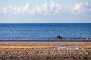 Sahilde dörtnala koşan at.