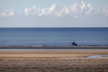Sahilde dörtnala koşan at.