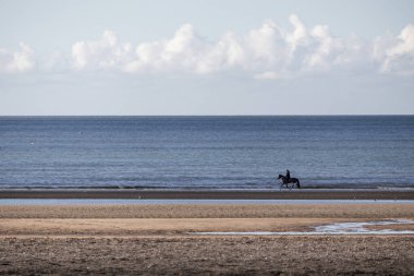 Sahilde dörtnala koşan at.