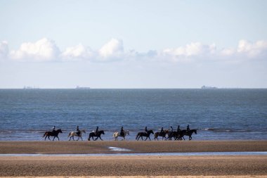 Atlar sahilde yürüyor.