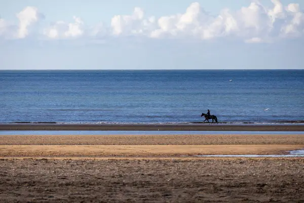 Sahilde dörtnala koşan at.