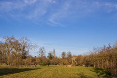 Ağaçlı sonbahar manzarası