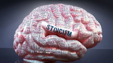 İnsan beyninde stokçuluk, durumun büyüklüğünü göstermek ve onunla ilgili kavramları keşfetmek için bir kortekse Stokçuluk ile ilgili yüzlerce önemli terim yansıtılır.