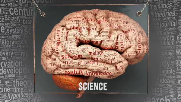 Ciência Cérebro Humano Dezenas Termos Importantes Que Descrevem Propriedades Características — Fotografia de Stock