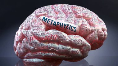 İnsan zihninde metafizik. İnsan beyninde metafiziği tanımlayan bir kelime bulutu. Metafizikle ilgili önemli fikirler ve kavramlar.