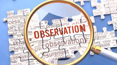 Gözlem, birden fazla hayati kavram ve fikirle birlikte doğrudan gözlemle ilgili olarak yakından inceleniyor. Bir bulmacanın birçok parçası bir bütün olarak birleşir..
