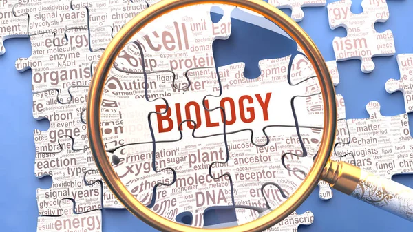 Biología Está Siendo Examinada Cerca Junto Con Múltiples Conceptos Vitales — Foto de Stock