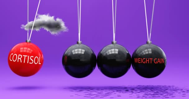Cortisol Leidt Tot Gewichtstoename Een Newton Cradle Metafoor Waarin Cortisol — Stockvideo