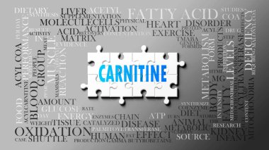 Carnitine, birçok kavramla ilişkili karmaşık bir konu. Bir bulmaca ve kelime bulutu olarak resmedilmiş. Karnitinle ilgili en önemli fikir ve cümlelerden oluşmuş..