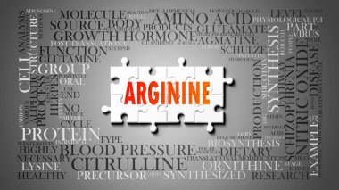Arginine - birçok kavramla ilişkili karmaşık bir konu. Bir bulmaca ve kelime bulutu olarak resmedilmiş. Arjininle ilgili en önemli fikir ve cümlelerden oluşmuş..