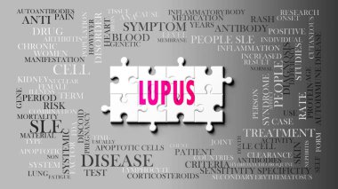 Lupus - karmaşık bir konu, birçok kavramla ilgili. Lupus ile ilgili en önemli fikir ve cümlelerden oluşan bir bulmaca ve kelime bulutu olarak resmedilmiş..