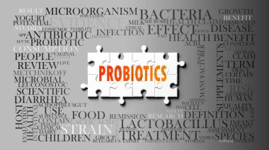 Probiyotik - karmaşık bir konu, birçok kavramla ilgili. Probiyotiklerle ilgili en önemli fikir ve ifadelerden oluşan bir bulmaca ve kelime bulutu olarak resmedilmiş..