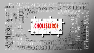 Kolesterol - birçok kavram ile ilişkili karmaşık bir konu. Kolesterolle ilgili en önemli fikir ve cümlelerden oluşan bir bulmaca ve kelime bulutu olarak resmedilmiş..