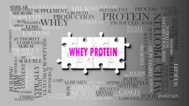 Whey proteini - birçok kavram ile ilişkili karmaşık bir konu. Bir bulmaca gibi resmedilmiş ve bulut kelimesi en önemli fikir ve cümlelerden oluşmuştur..