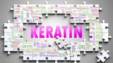 Keratin karmaşık bir konu, önemli konularla ilgili. Keratinle ilgili en önemli fikir ve cümlelerden oluşan bir bulmaca ve kelime bulutu olarak resmedilmiş..