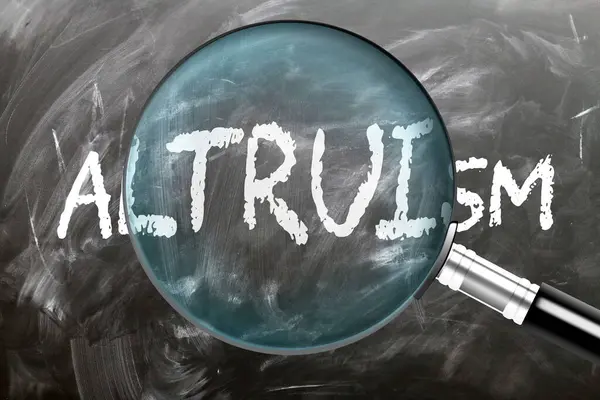 stock image Altruism - learn, study and inspect it. Taking a closer look at altruism. A magnifying glass enlarging word 'altruism' written on a blackboard