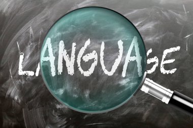 Dil - öğren, çalış ve incele. Dile daha yakından bakıyorum. Tahtaya 