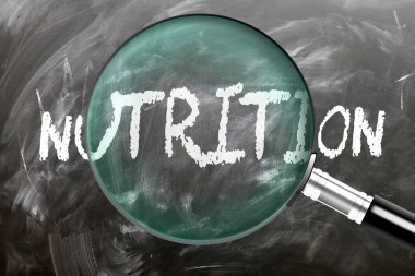 Beslenme - öğren, çalış ve incele. Beslenmeye daha yakından bakıyorum. Tahtaya 