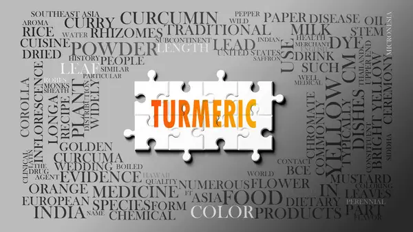 Önemli konularla ilgili karmaşık bir konu olarak zerdeçal. Bir bulmaca ve zerdeçal ile ilgili en önemli fikir ve cümlelerden oluşan bir kelime bulutu olarak resmedilmiş. .3d illüstrasyon