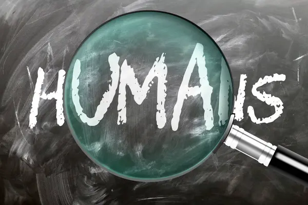 Stock image Humans - learn, study and inspect it. Taking a closer look at humans. A magnifying glass enlarging word 'humans' written on a blackboard