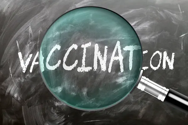 stock image Vaccination - learn, study and inspect it. Taking a closer look at vaccination. A magnifying glass enlarging word 'vaccination' written on a blackboard