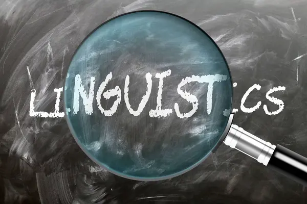stock image Linguistics - learn, study and inspect it. Taking a closer look at linguistics. A magnifying glass enlarging word 'linguistics' written on a blackboard