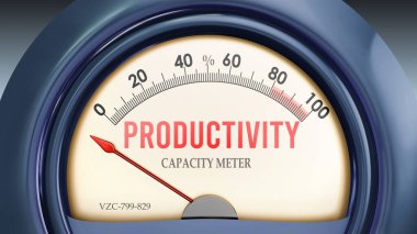 Verimlilik ve Kapasite Ölçeği sıfırın altında, son derece düşük bir verimlilik düzeyi gösteriyor, hiçbiri yetersiz. En düşük değer, verimsizlik.