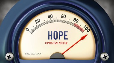 Umut ve İyimserlik Ölçeği tam ölçekte, çok yüksek bir umut seviyesi gösteriyor, aşırı yükleniyor, çok fazla. Maksimum değer, standartların ötesinde.. 