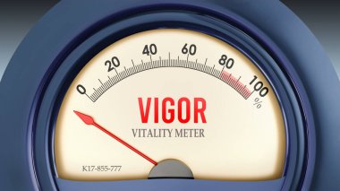 Vigor ve Vitality Ölçer sıfırın altında, son derece düşük bir enerji seviyesi gösteriyor, hiçbiri yetersiz. Normalin altında bir değer. Güç eksikliği..