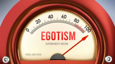 Egotizm ve Üstünlük Ölçeği tam ölçekte, çok yüksek seviyede egotizm gösteriyor, aşırı yüklenme, çok fazla. Maksimum değer, standartların ötesinde.. 