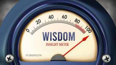 Bilgelik ve anlayış ölçer tam ölçekte, çok yüksek seviyede bilgelik gösteriyor, aşırı yükleniyor, çok fazla. Maksimum değer, standartların ötesinde.. 