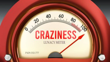 Çılgınlık ve Delilik Ölçeği tam ölçekte, çok yüksek seviyede delilik gösteriyor, aşırı yükleniyor, çok fazla. Maksimum değer, standartların ötesinde.. 