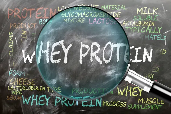 Beyaz Protein, yakından inceleniyor ve inceleniyor. En önemli konu ve fikirler hangi proteinle yakından ilişkilidir?.