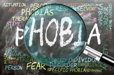 Fobi yakından inceleniyor, inceleniyor. En önemli konular ve fobiyle yakından ilişkili fikirler bir büyüteç tarafından incelenen bir kara tahtaya yazılmış..