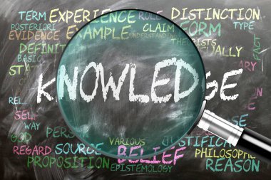 Bilgi inceleniyor, inceleniyor, yakından inceleniyor. En önemli konular ve bilgilerle yakından ilişkili fikirler bir büyüteç tarafından incelenen bir karatahtaya yazılmış..