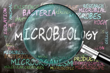 Mikrobiyoloji inceleniyor, yakından inceleniyor. En önemli konular ve fikirler mikrobiyolojiyle yakından ilişkilidir..