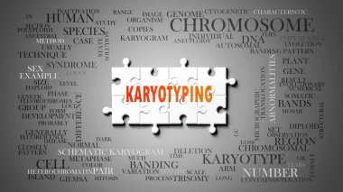 Karyotyping as a complex subject, related to important topics. Pictured as a puzzle and a word cloud made of most important ideas and phrases related to karyotyping. clipart