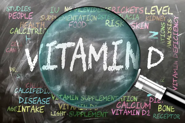 D vitamini yakından inceleniyor, inceleniyor. En önemli konular ve fikirler D vitamini ile yakından ilişkilidir. Tahtaya yazılmış ve büyüteçle incelenmiş..