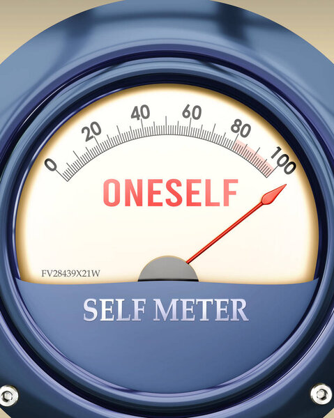 Oneself and Self Meter that is hitting a full scale, showing a very high level of oneself, overload of it, too much of it. Maximum value, off the charts. 