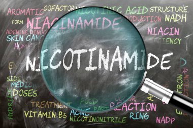 Nicotinamide being studied, examined - under close inspection. Most important subjects and ideas closely related to nicotinamide. clipart