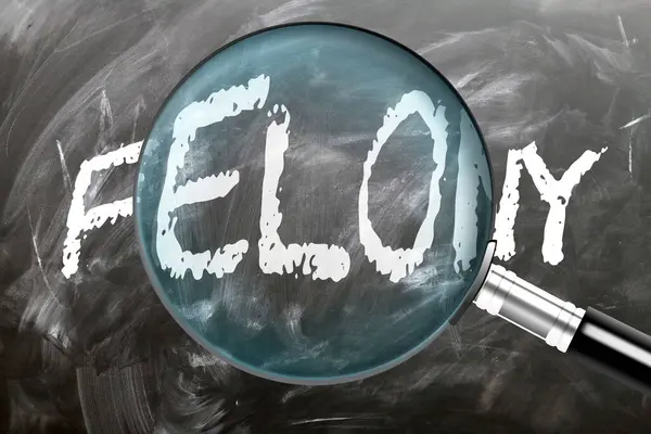 stock image Felony - learn, study and inspect it. Taking a closer look at felony. A magnifying glass enlarging word 'felony' written on a blackboard