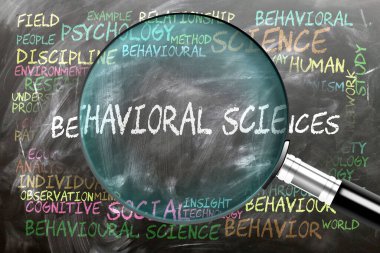 Davranış Bilimleri yakından inceleniyor, inceleniyor. Davranış bilimleriyle yakından ilişkili en önemli konular ve fikirler.
