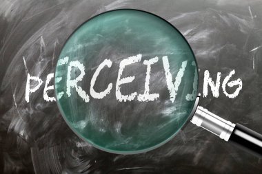 Perceiving - learn, study and inspect it. Taking a closer look at perceiving. A magnifying glass enlarging word 'perceiving' written on a blackboard clipart